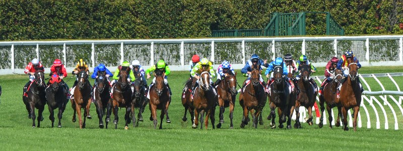 Oakleigh Plate Oakleigh Plate