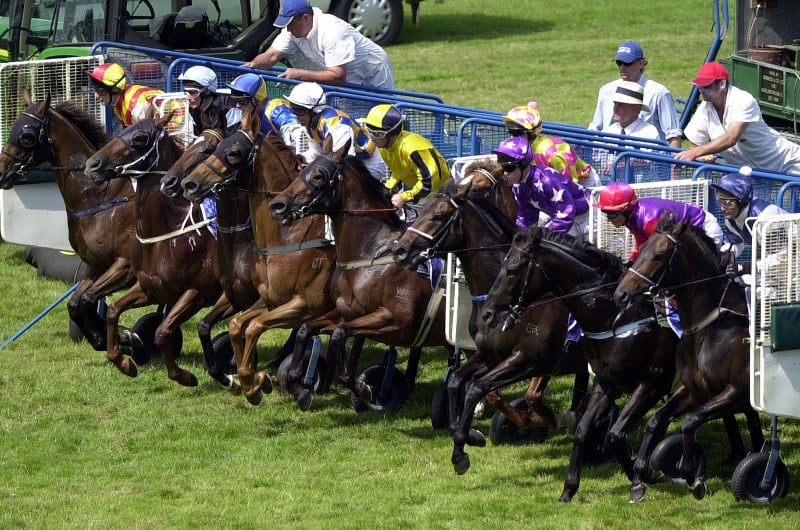 NZ Oaks