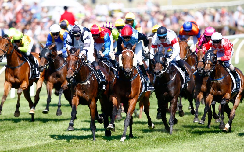 Nz Derby New Zealand Betting Tips, Odds & Bookmaker Offers Blackbook
