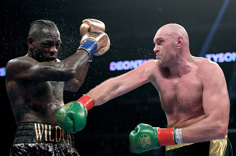 fury wilder fury wilder