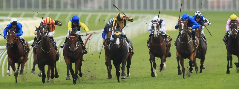 All Aged Stakes All Aged Stakes