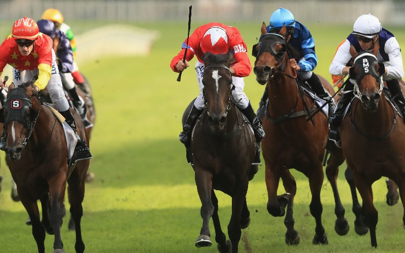Champagne Stakes Betting Tips, Odds & Bookmaker Offers