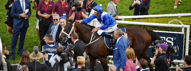 Winx Winx