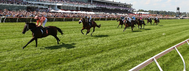 Black Caviar Black Caviar