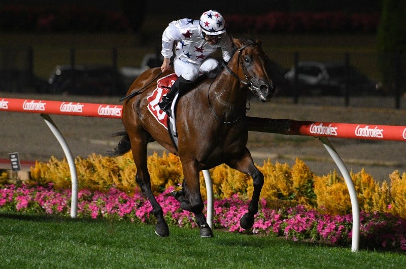 William Reid Stakes