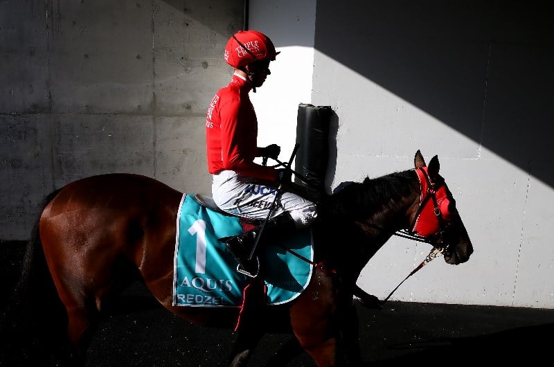 Redzel Redzel
