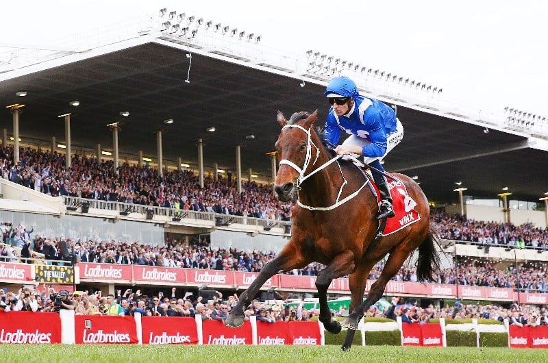 Cox Plate Cox Plate