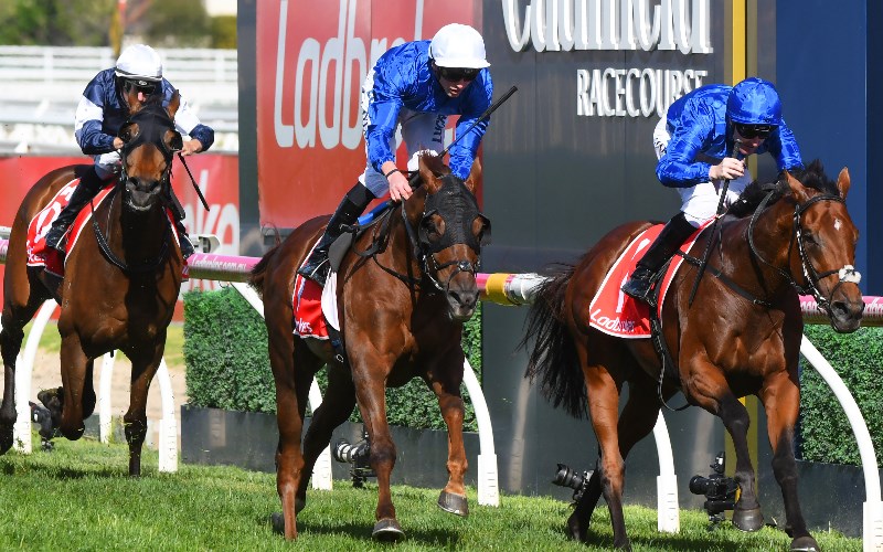 caulfield stakes odds
