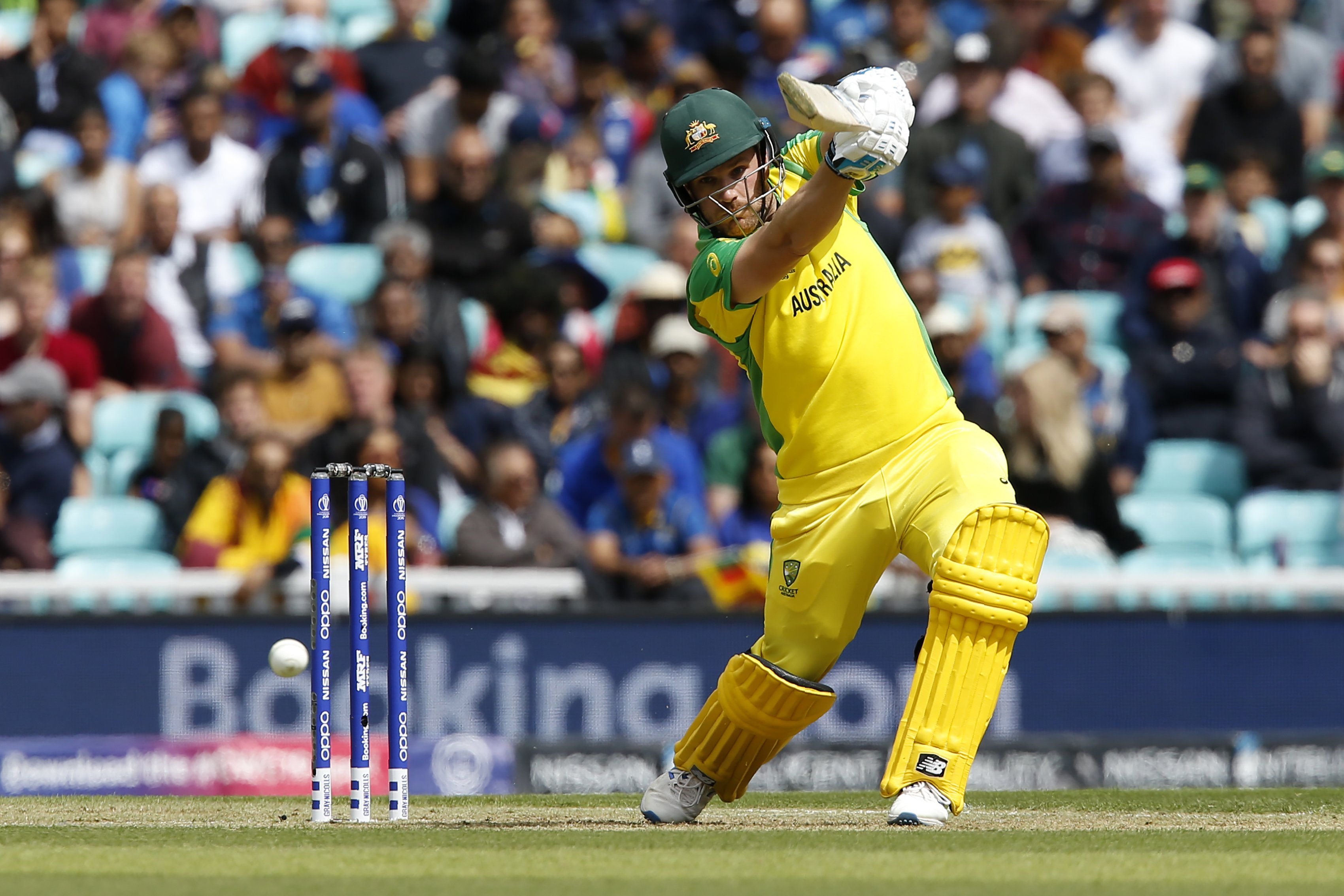 aaron finch batting