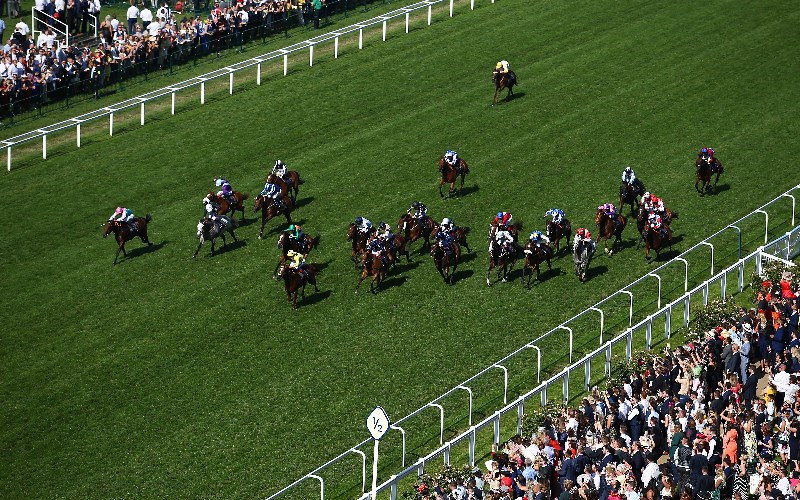 Canberra Racing Tips & Best Bets