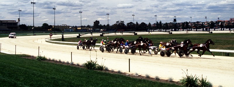 Harness racing Harness racing