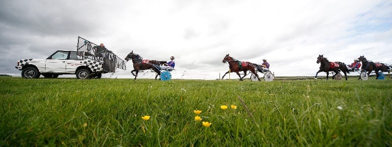 Harness racing Harness racing
