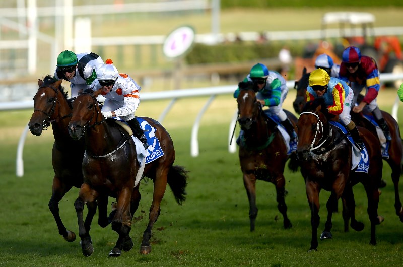 Sistema Stakes
