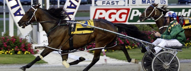 Harness Racing Harness Racing