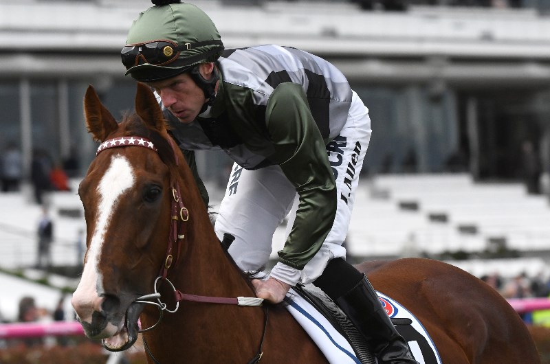 Kings Will Dream Flemington