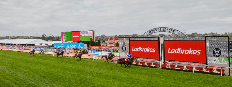 Cox Plate Cox Plate