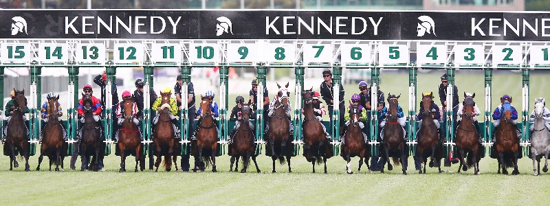 Oaks Oaks