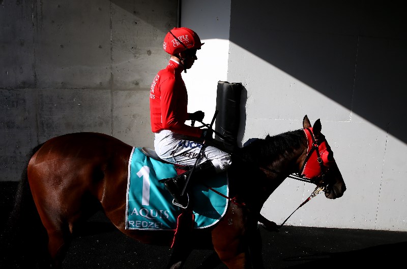 Redzel