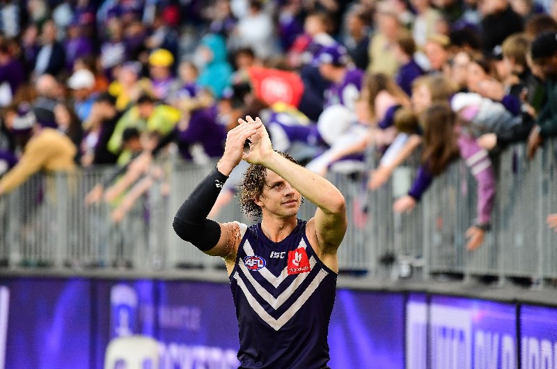 Brownlow Prediction & Tips