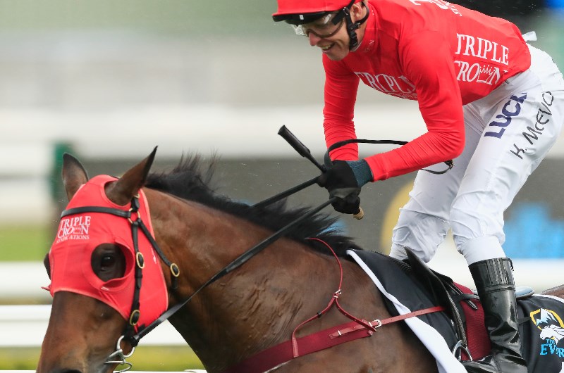 Redzel Redzel