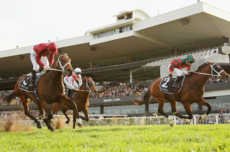 Golden Rose Stakes
