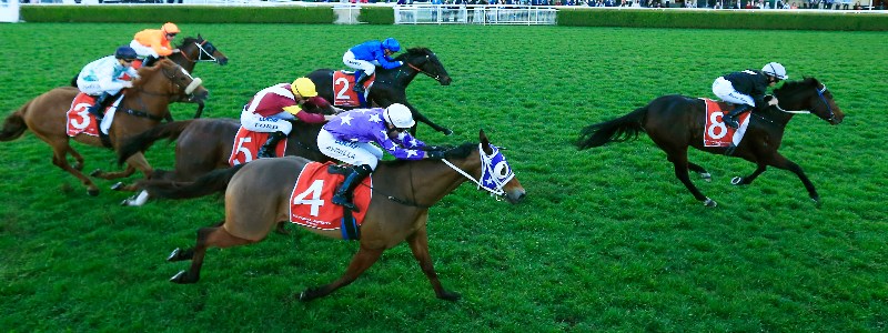 Royal Randwick Royal Randwick