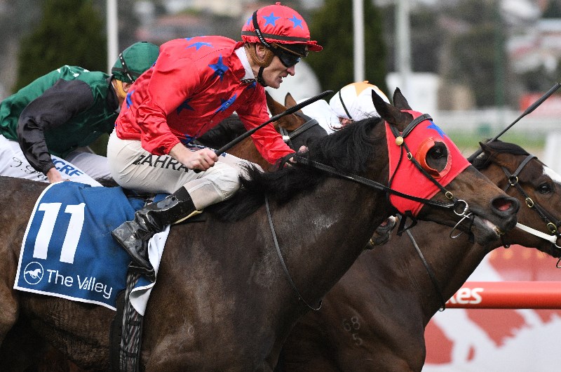 Usain Bowler Has Eye On The Spring Carnival