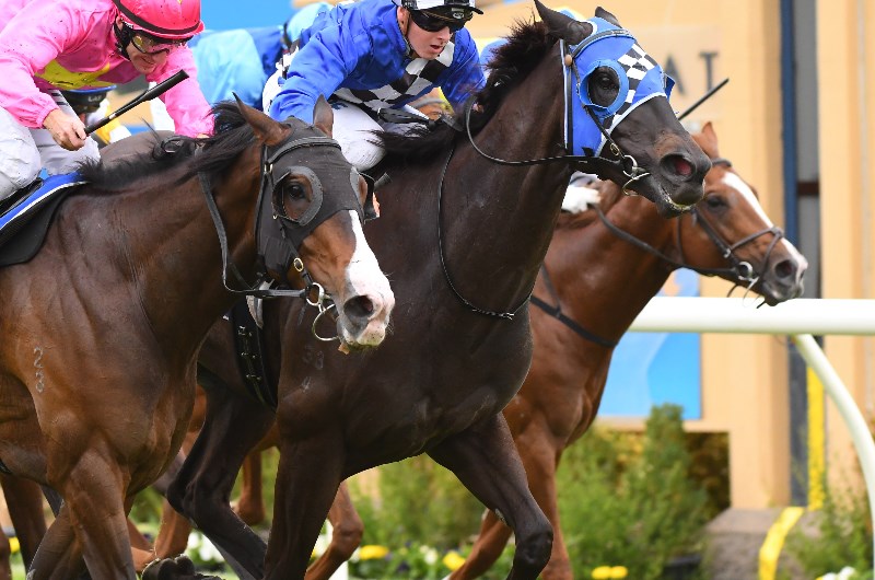 Ballarat Synthetic Preview & Betting Tips