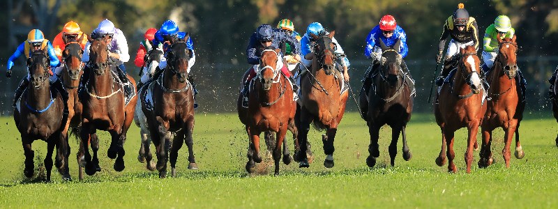 Rosehill Rosehill