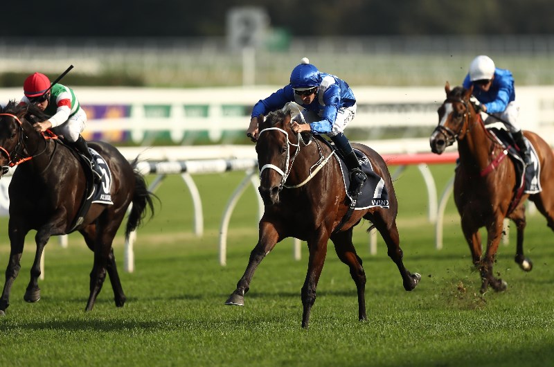 Winx Stakes