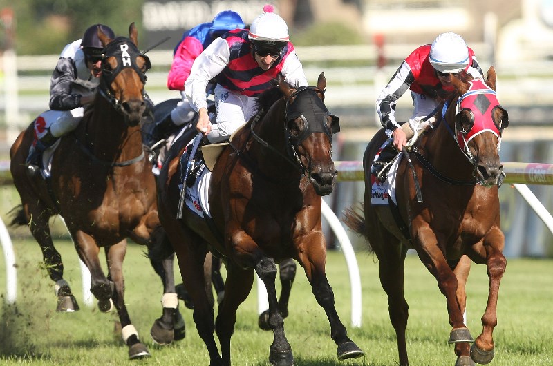 Belmont Best Bets & Preview