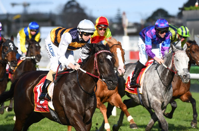 Bendigo Best Bets & Preview