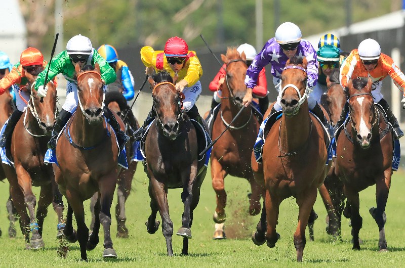 Warwick Farm