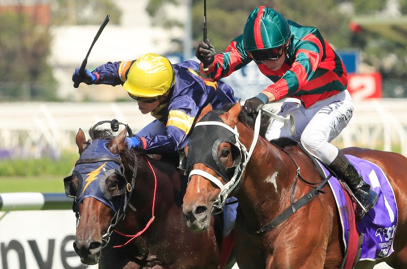 Misty Summer Wins At Gosford