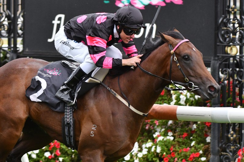 Sandown Bets Bets, Tips & Preview