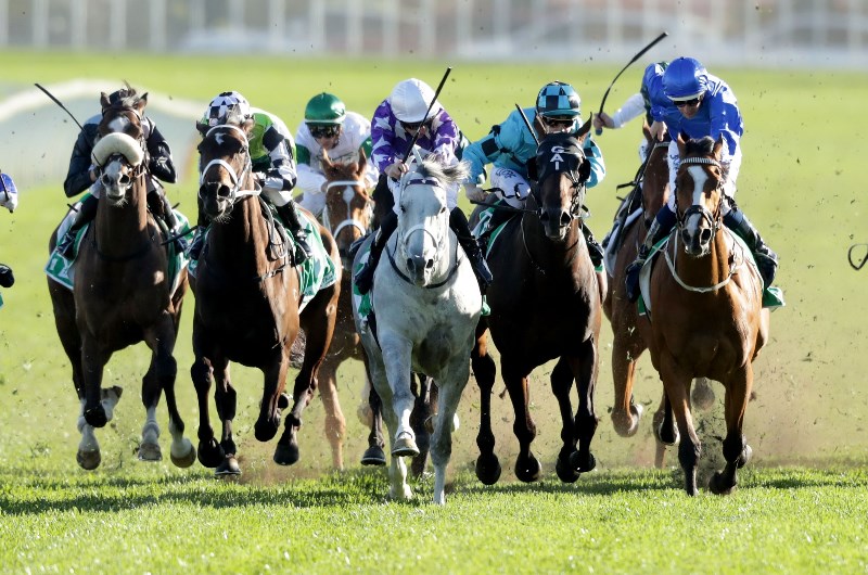 Epsom Handicap Epsom Handicap