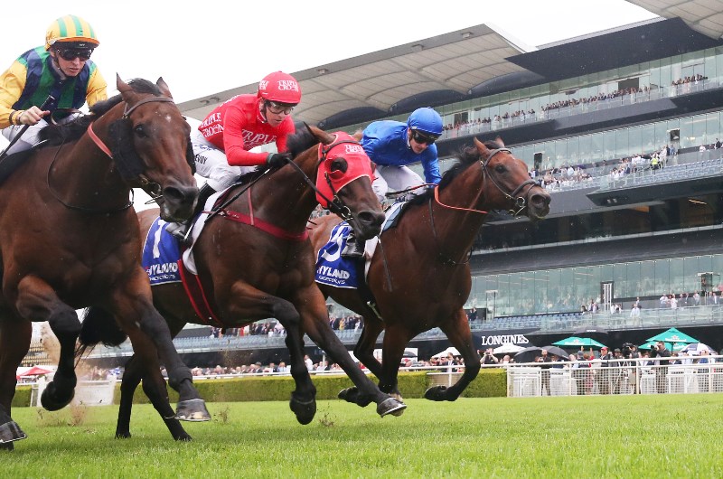 Redzel Redzel
