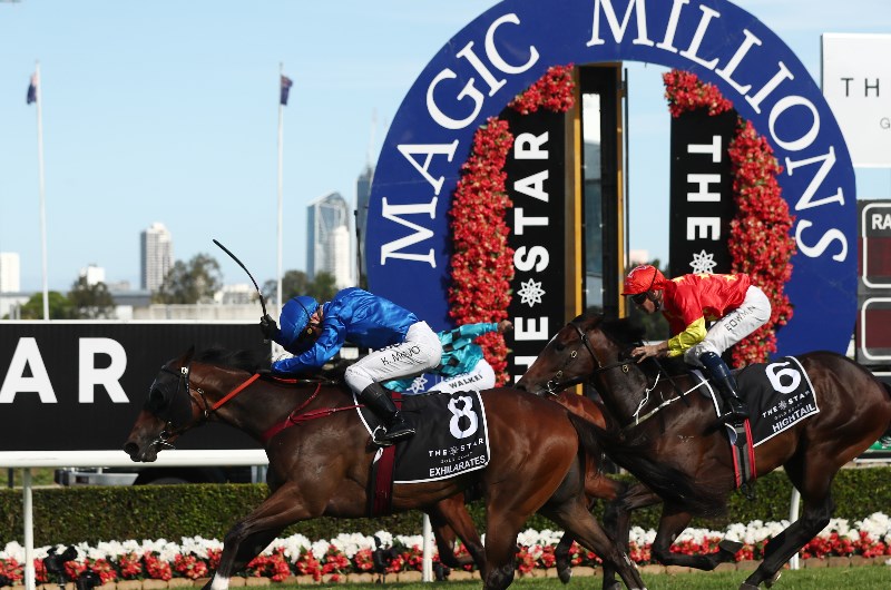 Exhilarates Gold Coast