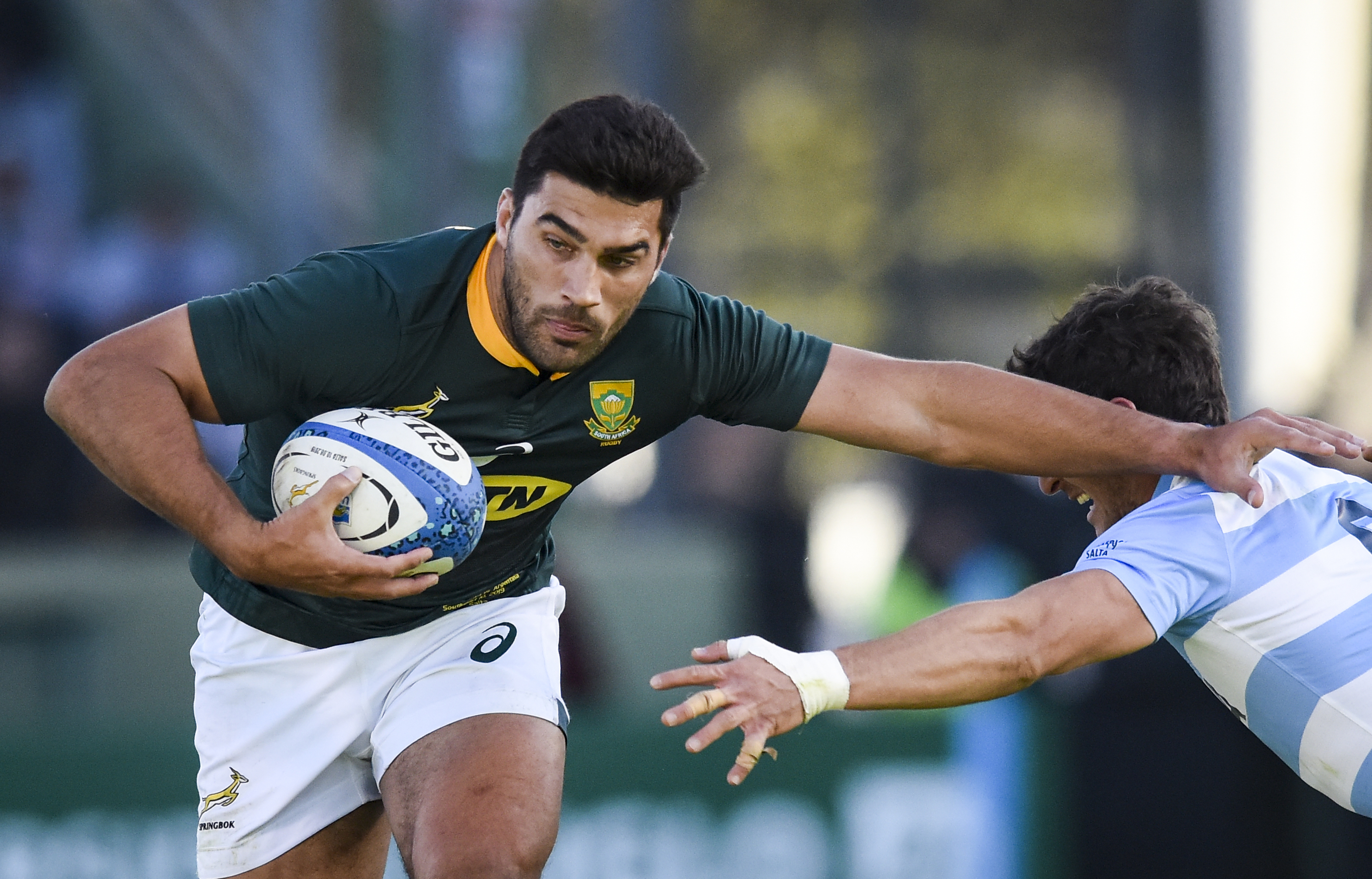 Springbok rugby