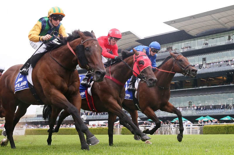 Redzel