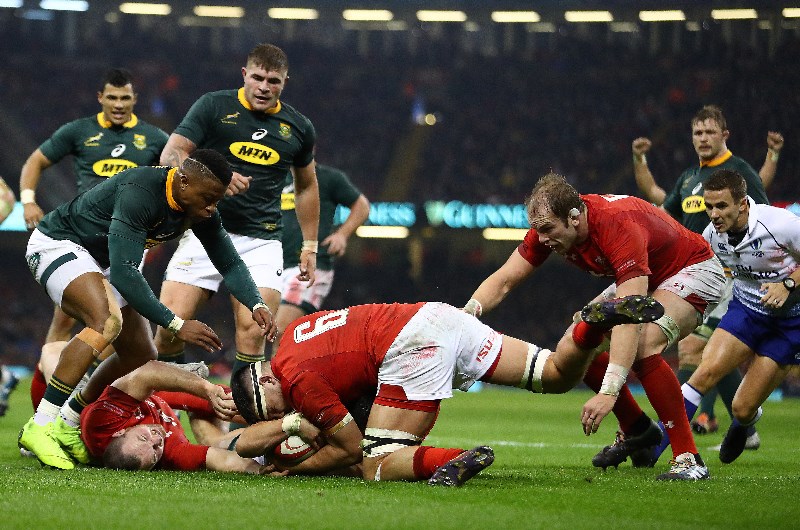 South africa vs wales rugby
