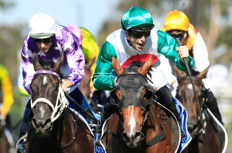Castelvecchio Trials Well At Warwick Farm