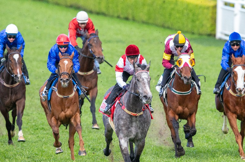 Classique Legend Is On Track For The Everest
