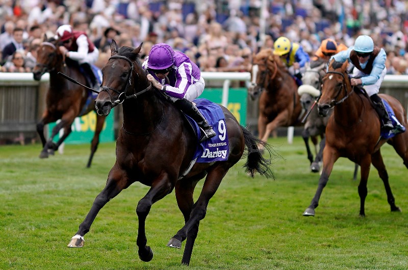 Ten Sovereigns Is In Quarantine