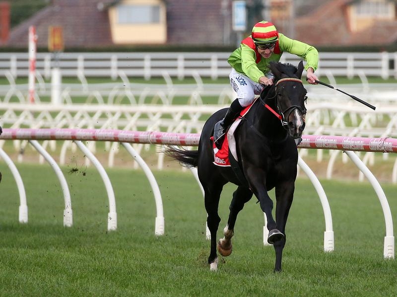 Begood Toya Mother favourite for Group One Handicap