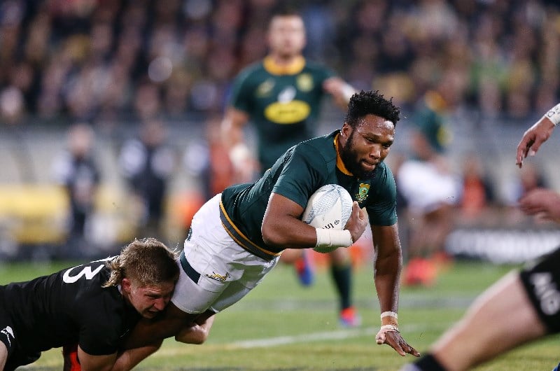 springboks vs all blacks