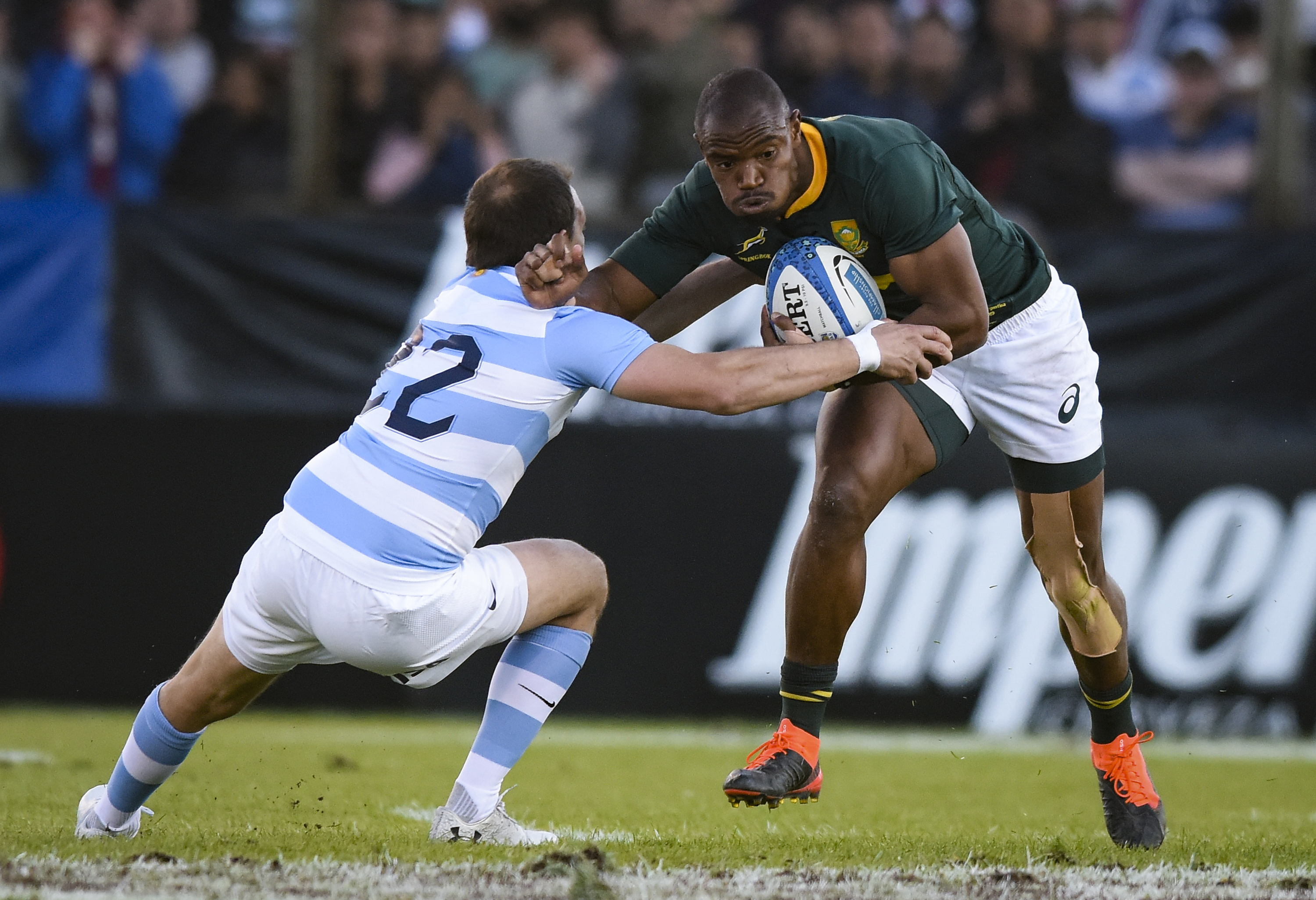 Springboks