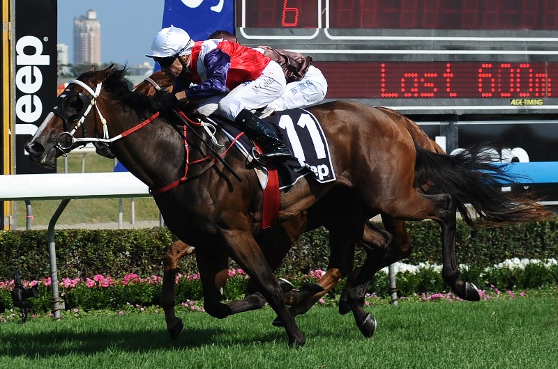 Michael Cahill jockey