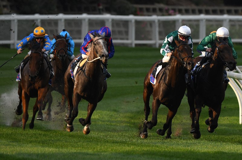 Sale racecourse