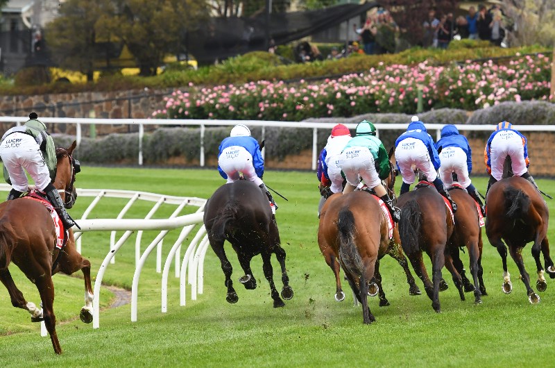 Cox plate Moonee Valley